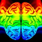 impact-of-tactile-stimulation-patterns-on-neural-responses