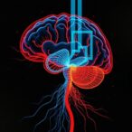 epilepsy:-how-sex-and-gender-shape-memory