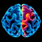 contralesional-motor-cortex:-key-to-stroke-recovery?