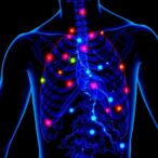 cxcl5-neutralization-reduces-cancer-cachexia-effects