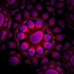 atlas-reveals-prognostic-myofibroblast-in-metastatic-bladder-cancer