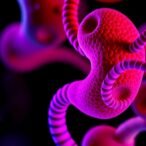 marine-compound-targets-lipogenesis-in-gastric-cancer