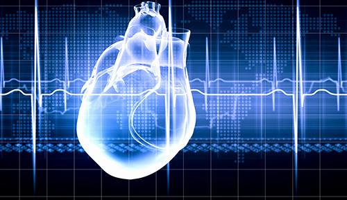 keeping-neutrophils-in-night-mode-could-reduce-post-heart-attack-inflammation