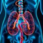 ctdna-guided-therapy-advances-muscle-invasive-bladder-cancer