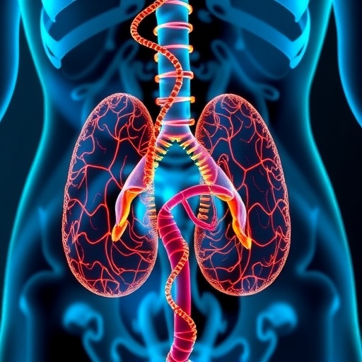 ctdna-guided-therapy-advances-muscle-invasive-bladder-cancer