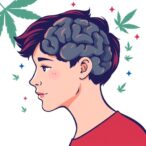 tracking-teen-cannabis-use-and-young-adult-cognition