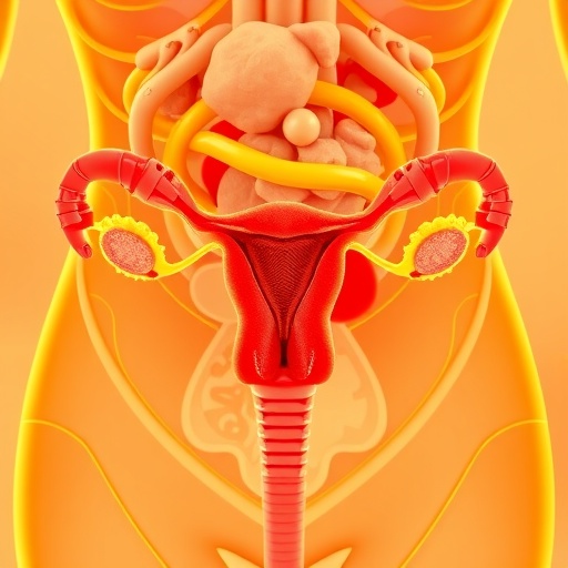 metabolic-syndrome-fuels-endometrial-cancer-via-oleic-acid