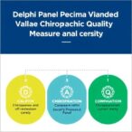 delphi-panel-validates-chiropractic-care-quality-measures