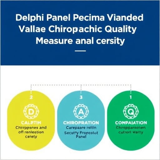 delphi-panel-validates-chiropractic-care-quality-measures