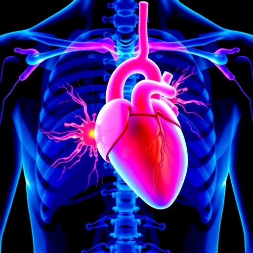 tuberous-sclerosis:-heart-tumors-and-genetic-links