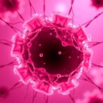 predicting-blastocyst-success:-demographics-and-ana-titer