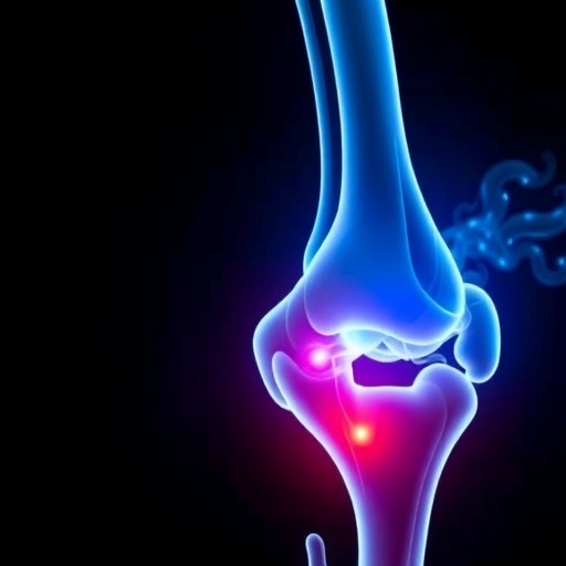 enhancing-bone-cement:-strength-and-stress-balance