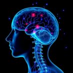 machine-learning-identifies-mortality-risks-in-critical-illness