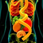 nutrisight:-transformer-predicts-enteral-nutrition-underfeeding