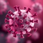durable-immunity-shields-against-hepatitis-e-reinfection