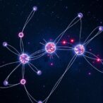 remote-astrocytes-drive-white-matter-repair