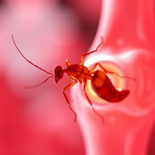 synovial-parasitosis,-biomarkers,-and-osteoarthritis-links-explored