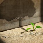 verge-genomics-drops-sole-clinical-candidate-in-return-to-ai-drug-discovery-roots