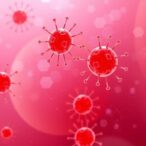 il-17a-raises-in-diabetic-wounds,-harms-keratinocytes