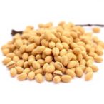 enzymatic-extraction-of-isomalto-oligosaccharides-from-ginkgo-seeds