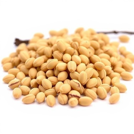 enzymatic-extraction-of-isomalto-oligosaccharides-from-ginkgo-seeds