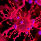 midas:-fast-multiplexed-profiling-for-host-pathogen-analysis