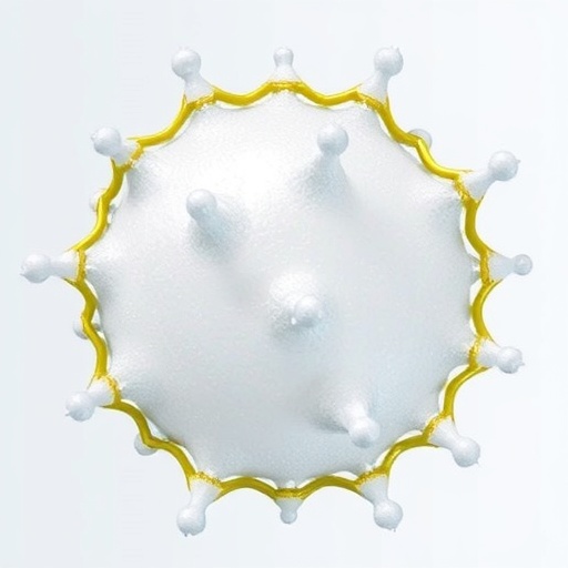 optimizing-polyhydroxybutyrate-from-waste-oil:-economic-insights