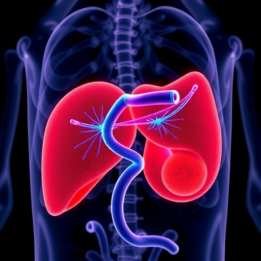 new-model-predicts-bleeding-risks-in-pediatric-liver-biopsies