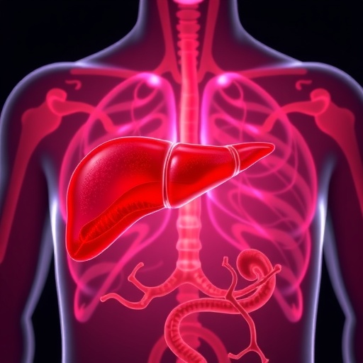 assessing-functionality-in-liver-transplant-candidates:-2025-insights