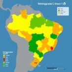 mapping-meningococcal-c-vaccination-in-brazil,-2012-2024