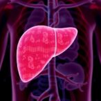 liver-regeneration:-insights-into-mechanisms-and-applications