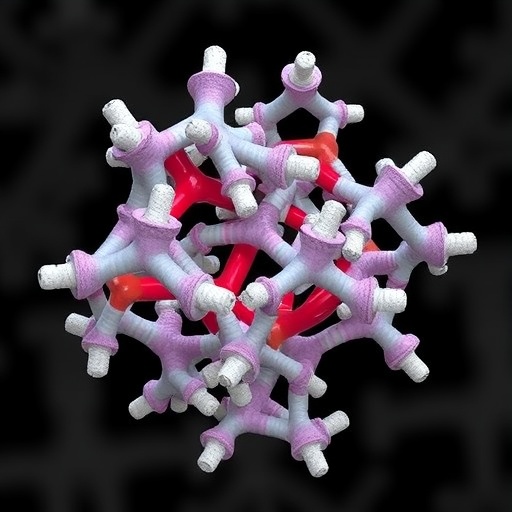minflux-reveals-cardiac-ryanodine-receptor-structure-in-3d