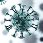 unraveling-influenza-a-host-tropism-through-nucleotide-signatures