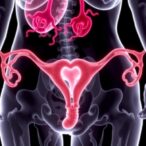 fruquintinib-and-sintilimab-treat-advanced-endometrial-cancer