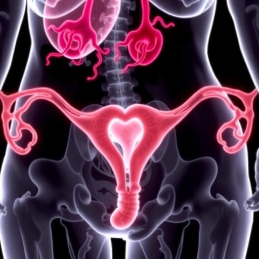 fruquintinib-and-sintilimab-treat-advanced-endometrial-cancer