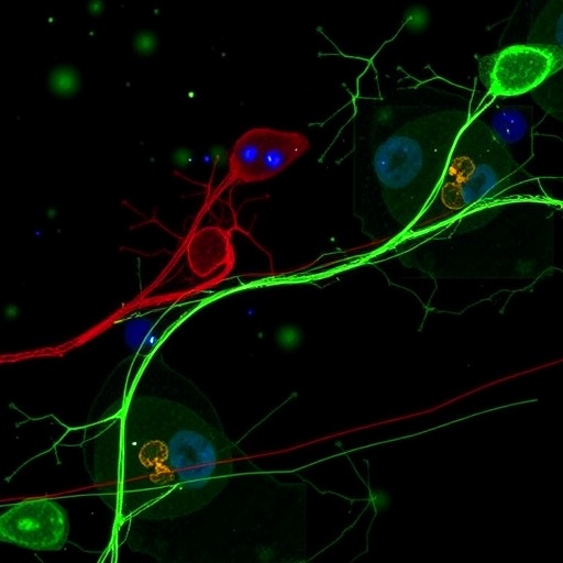 lrrk2-mutation-causes-neurodegeneration-via-microglial-inflammation