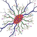 deeppncc:-mapping-cell-interactions-to-unravel-breast-cancer