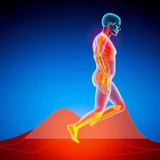 fracture-types-impact-healing-and-gait-dynamics