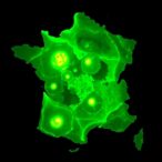 first-fatal-french-case:-bromazolam,-2-mmc-poly-use