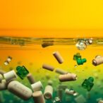 microplastics-and-nitrogen-byproducts:-complex-water-interactions