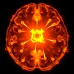 targeted-liposomes-enhance-glioblastoma-treatment-efficacy