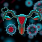 stem-cell-derived-vesicles-combat-ovarian-aging-inflammation