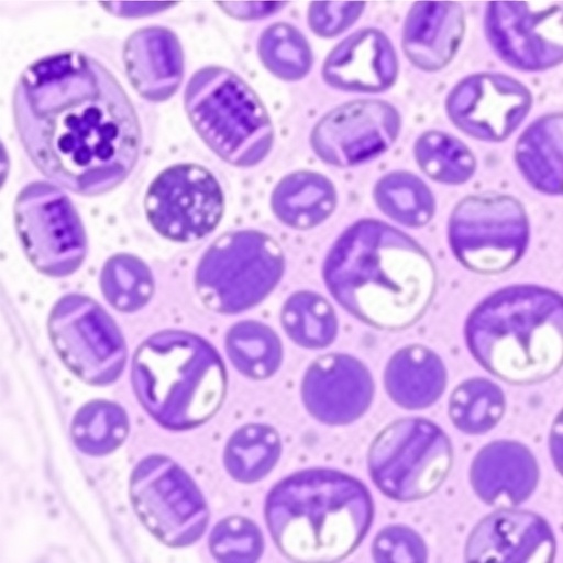 mmp-7-and-serological-markers:-diagnosing-liver-fibrosis