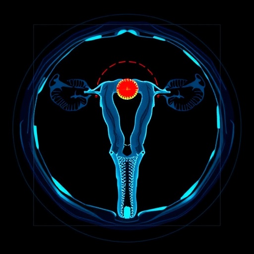 revolutionary-micro-ct-and-ai-evaluate-ovarian-follicles