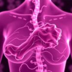 telo2-links-parabens-to-breast-cancer-risk