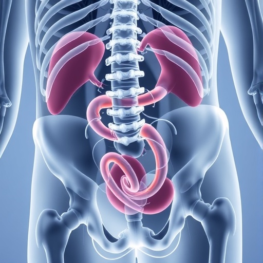 overcoming-challenges-in-parastomal-hernia-care:-insights