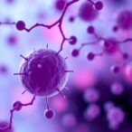 mesenchymal-stem-cells:-a-path-to-reversing-ovarian-aging