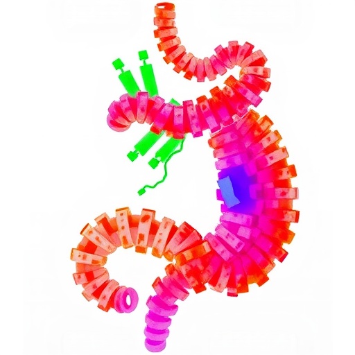 unique-gut-microbiome-profiles-in-korean-lupus-patients