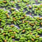 optimizing-microalgae-for-wastewater-and-biofuels