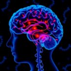 unraveling-hypoxia’s-impact-on-meningioma-gene-regulation